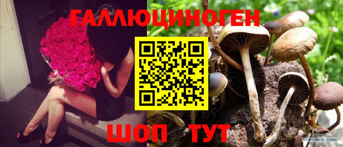 Галлюциногенные грибы GOLDEN TEACHER Сарапул